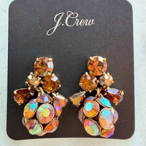 J. Crew Statement Earrings